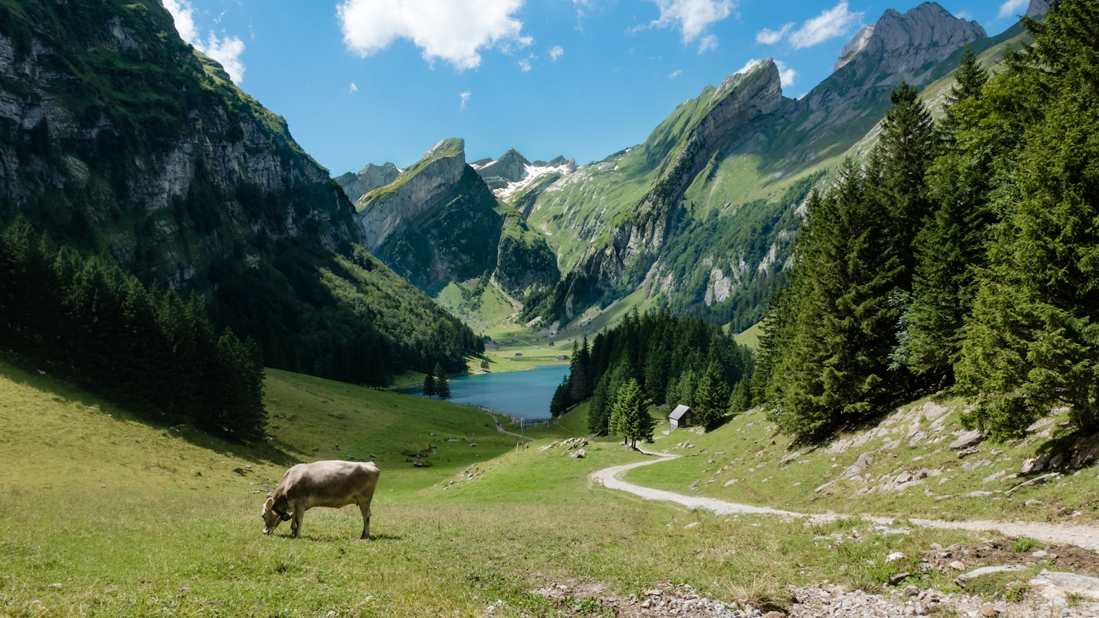 Top agences de placement au Tessin
