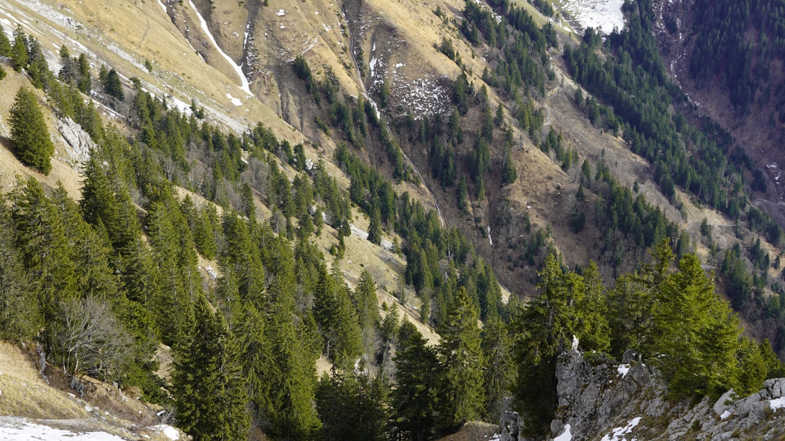 Top agences de placement en Valais